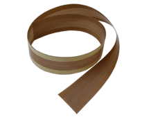 PTFE for Audionvac