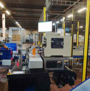 Active Ants Video Still 2 (1)